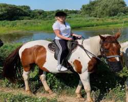 Yorkie enjoys traveling and exploring other fun activities like horse riding and gardening.